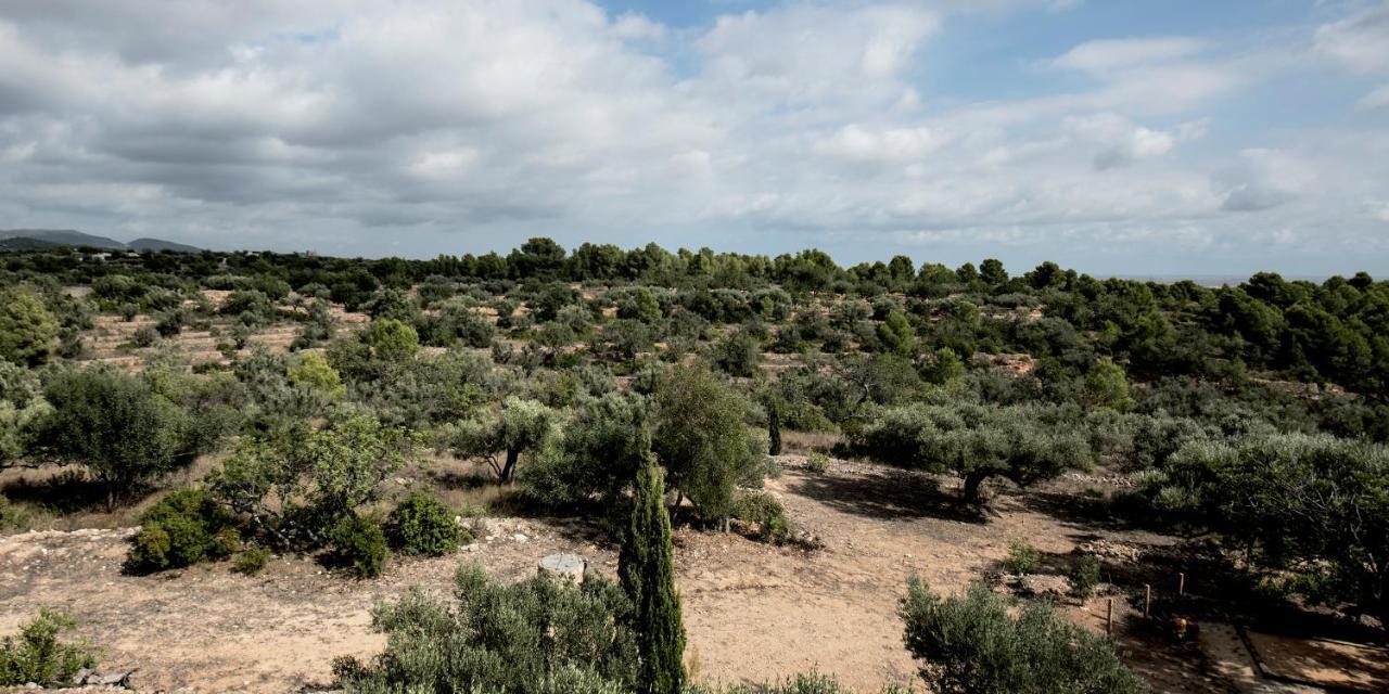 Finca Jabali 托尔托萨 外观 照片